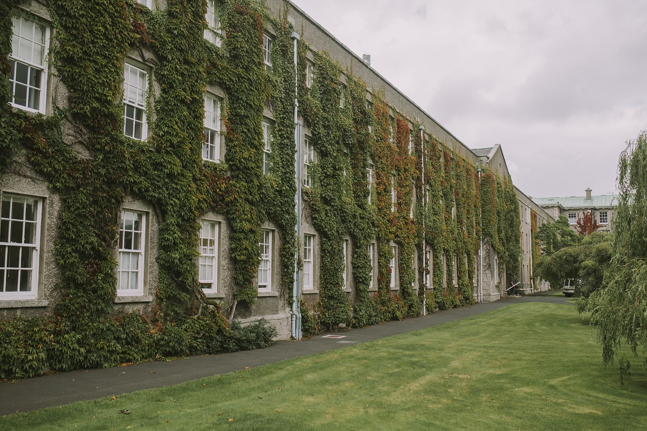 College student walking on university campus, benefiting from family 529 plan savings