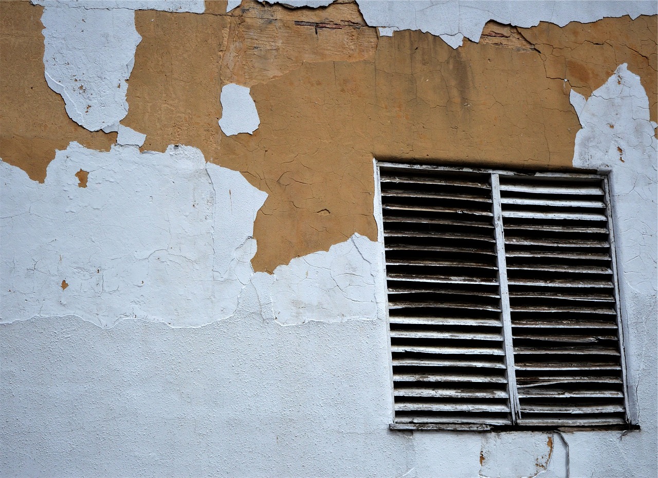 Exterior household wall vent hood showing clear louvered damper flaps free of lint blockages.