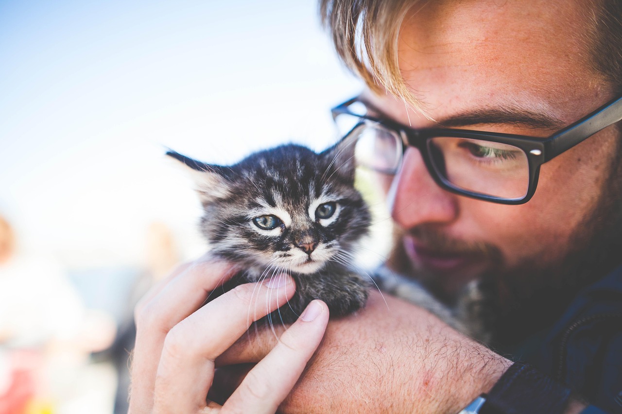 A cat owner filling out a daily symptom and meal tracking log to monitor food trial progress.