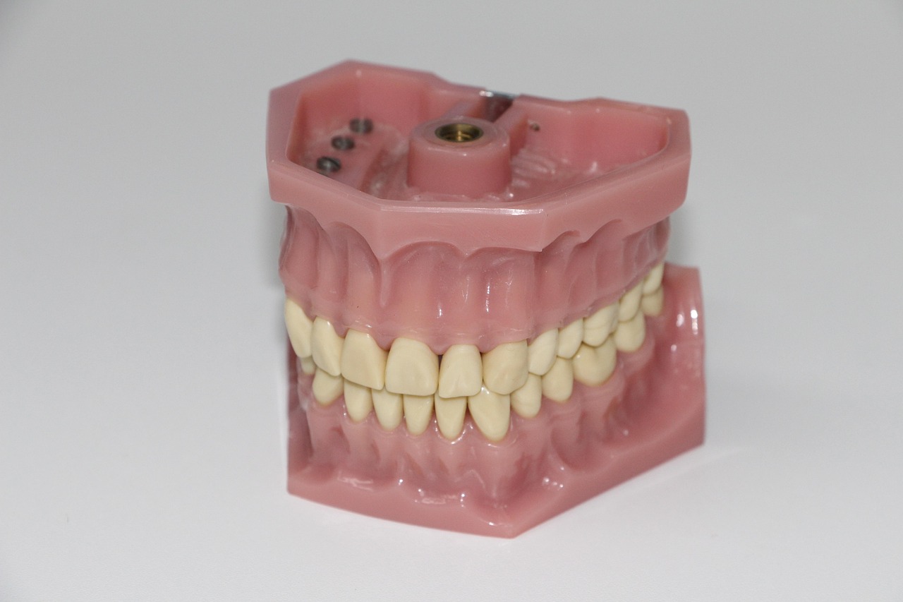 Veterinary dental suite equipped for full-mouth radiographs and feline tooth extractions.