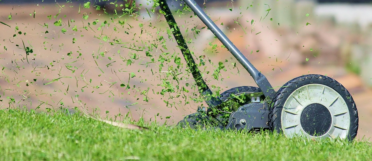A green pop-up emitter valve releasing water onto lawn turf during a drainage flow test.