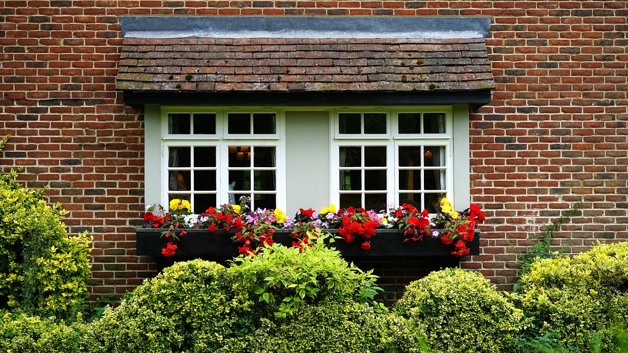 Protecting garden plants and shrubs near house exterior before washing