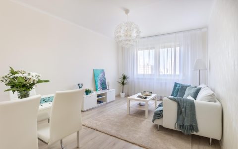 A modern, clean apartment living room featuring an automatic litter box and a sleek HEPA air purifier seamlessly integrated into the home decor.