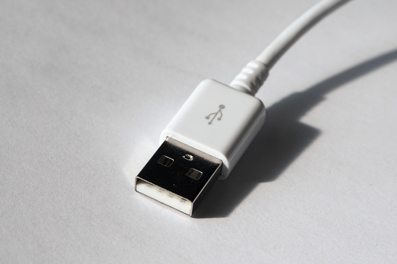 Rear port connections of a dual-monitor KVM switch with display and USB host cables.