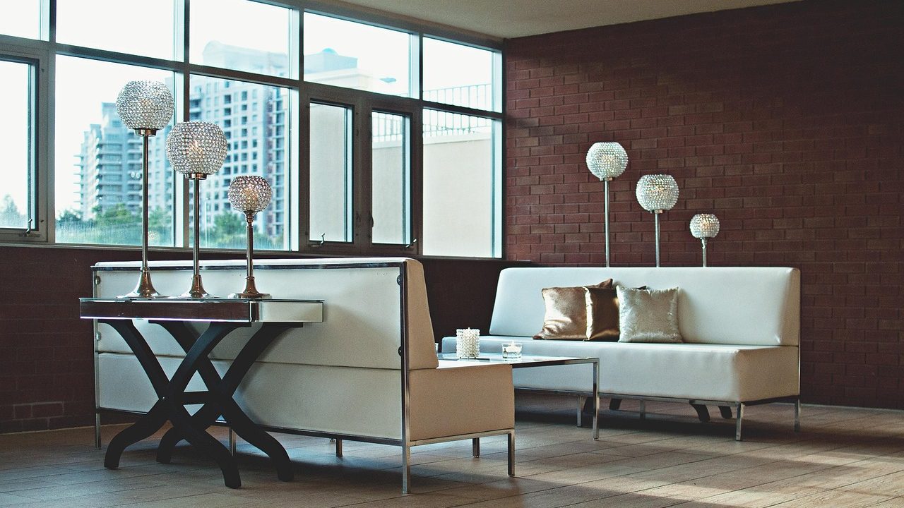 A modern living room designed with cat shelves and elevated perches for multiple cats.