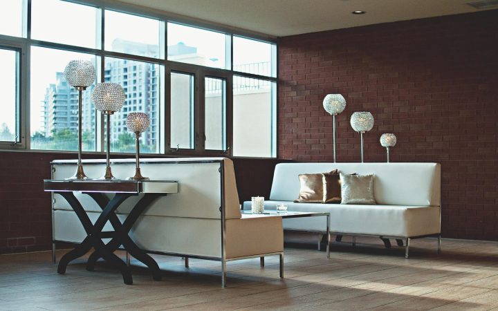 A modern living room designed with cat shelves and elevated perches for multiple cats.