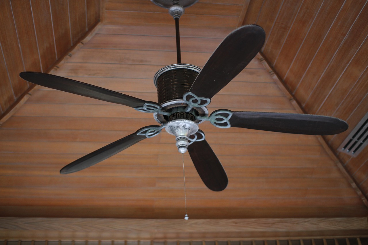 Ceiling fan canopy open to expose mounting bracket, downrod clevis pin, and canopy screws.