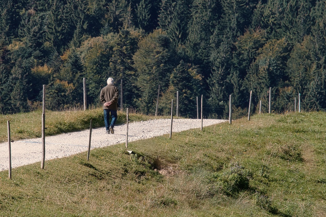 Someone taking a peaceful afternoon walk through a green city park.