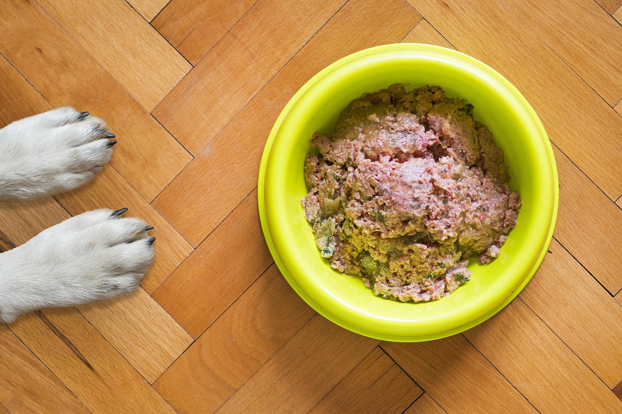 Senior dog eating food from a stainless steel bowl.