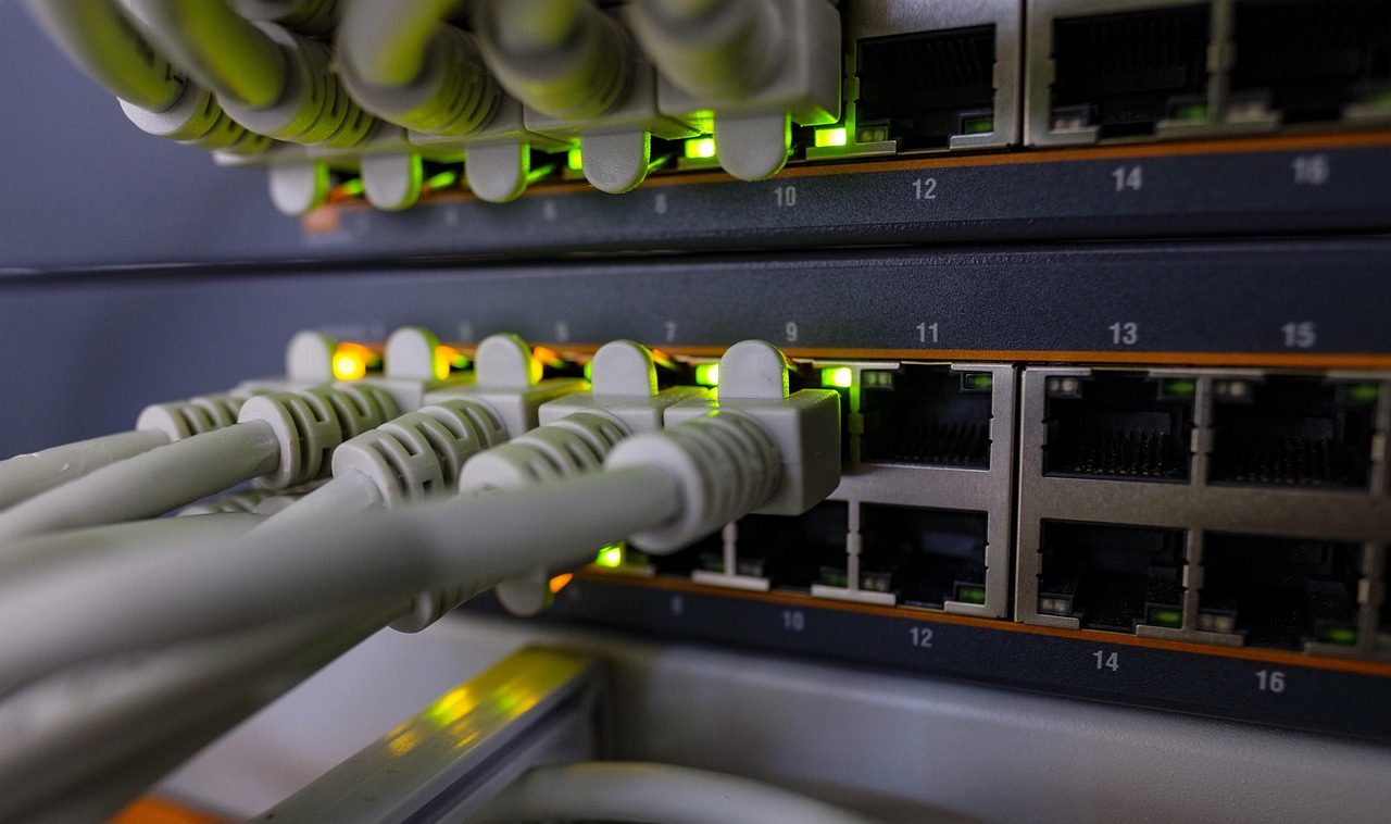 Network switch with neatly routed Ethernet cables indicating isolated VLAN connections.