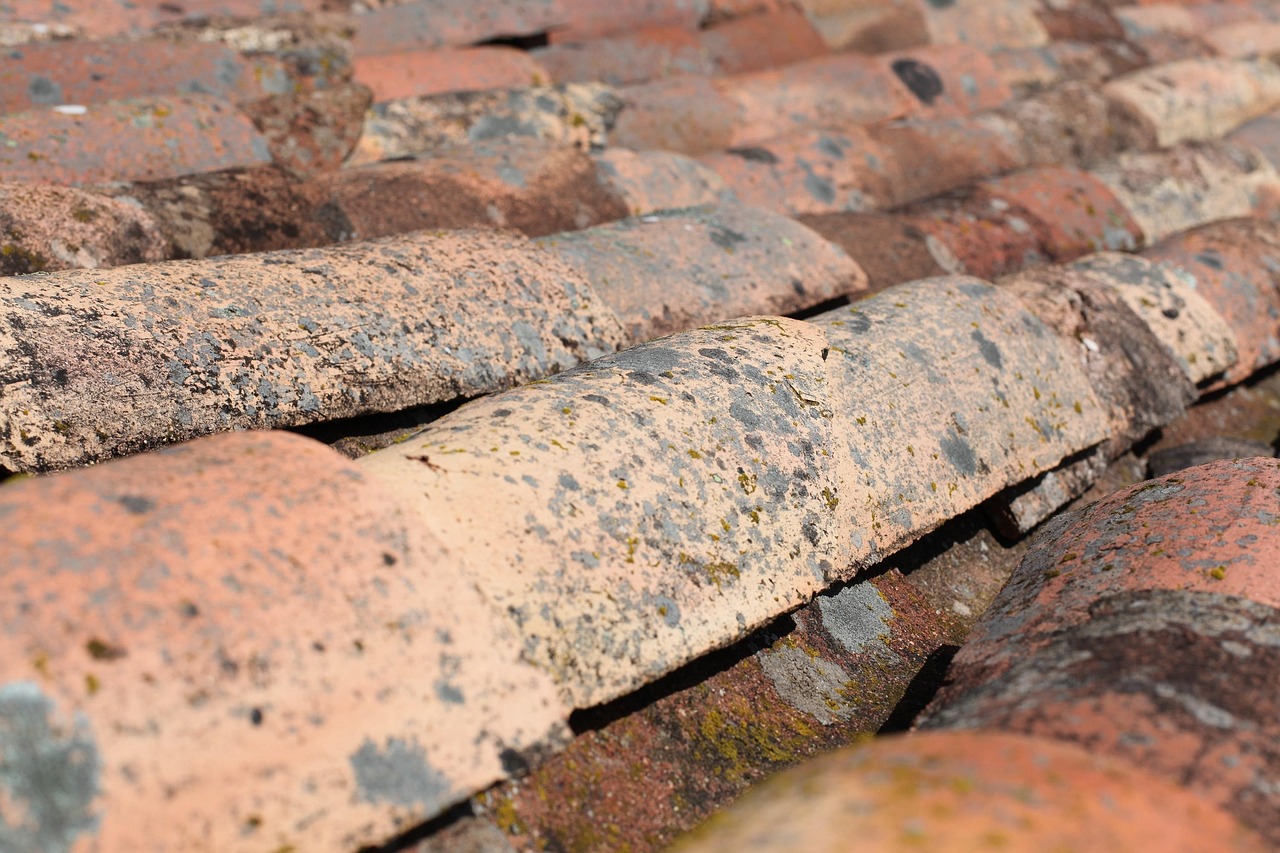 An extension ladder properly secured against the edge of a residential shingle roof.