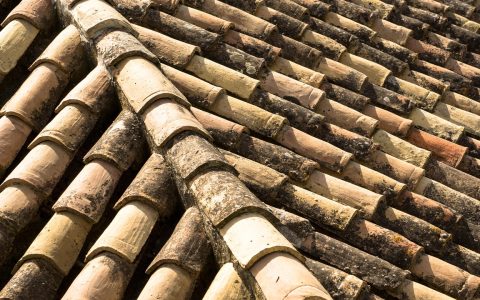Asphalt shingle roof showing dark algae streaks alongside clean restored section