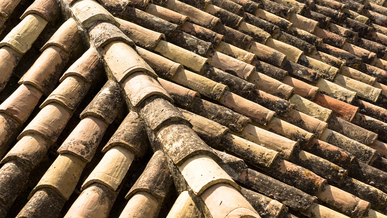 Asphalt shingle roof showing dark algae streaks alongside clean restored section