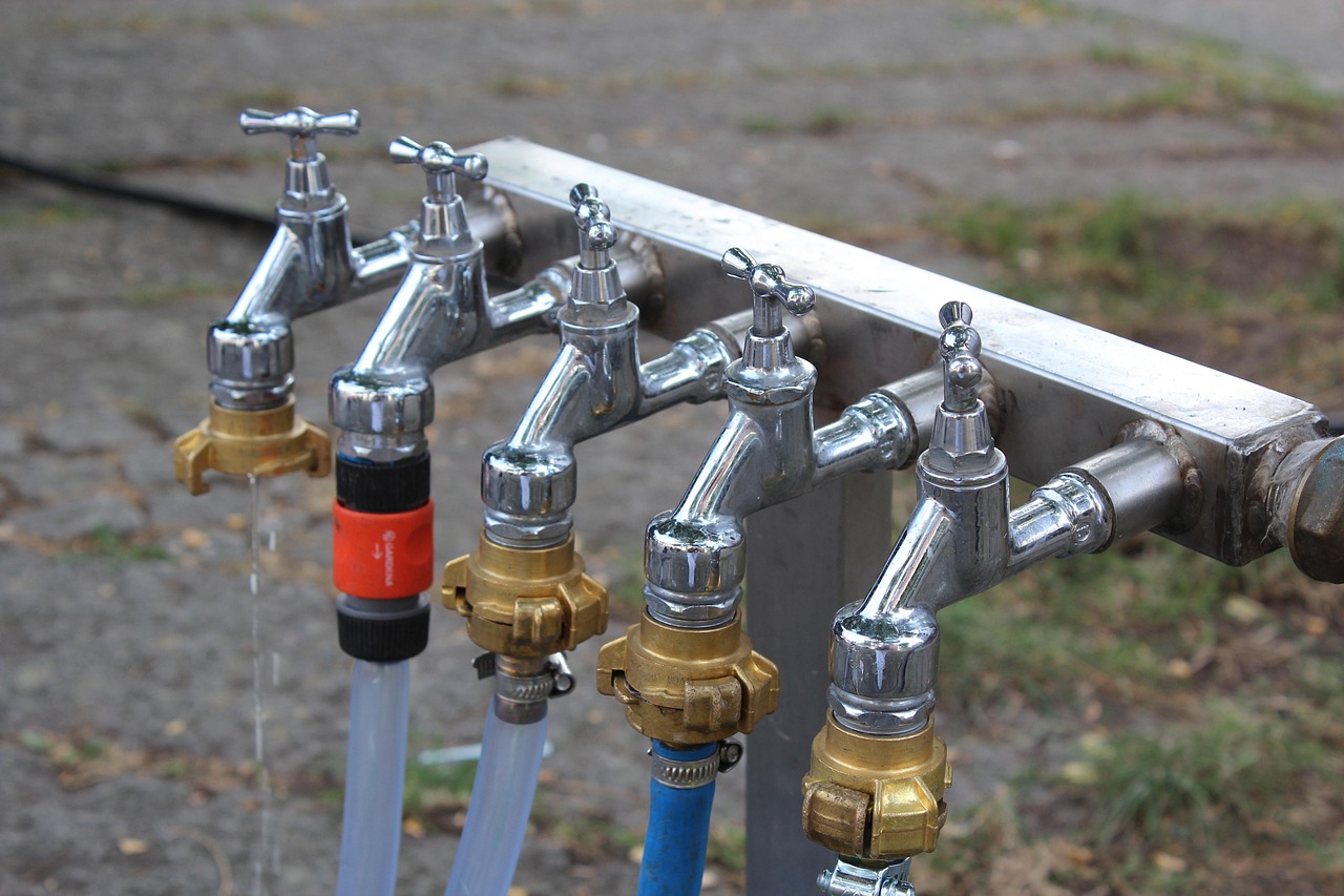 Tankless water heater flush kit connected to isolation valves for descaling maintenance