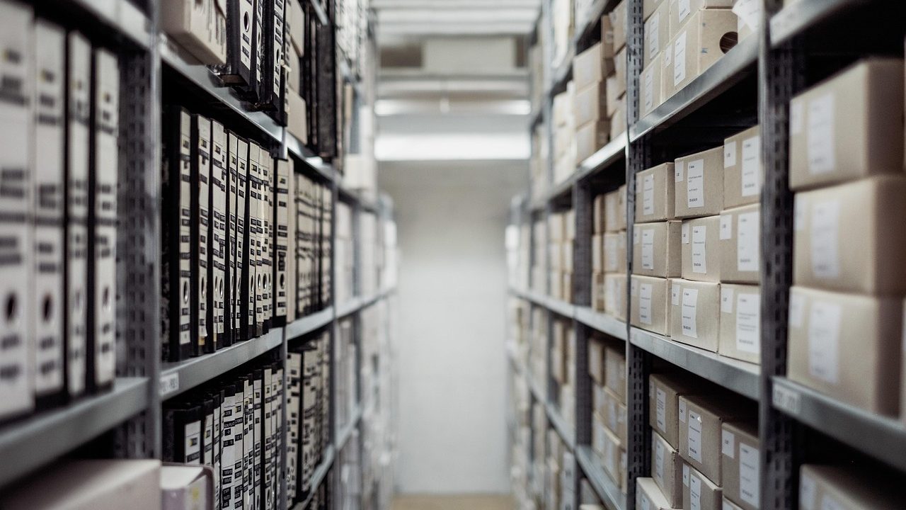 A modern warehouse club optical display featuring neatly organized eyeglass frames on bright glass shelves.