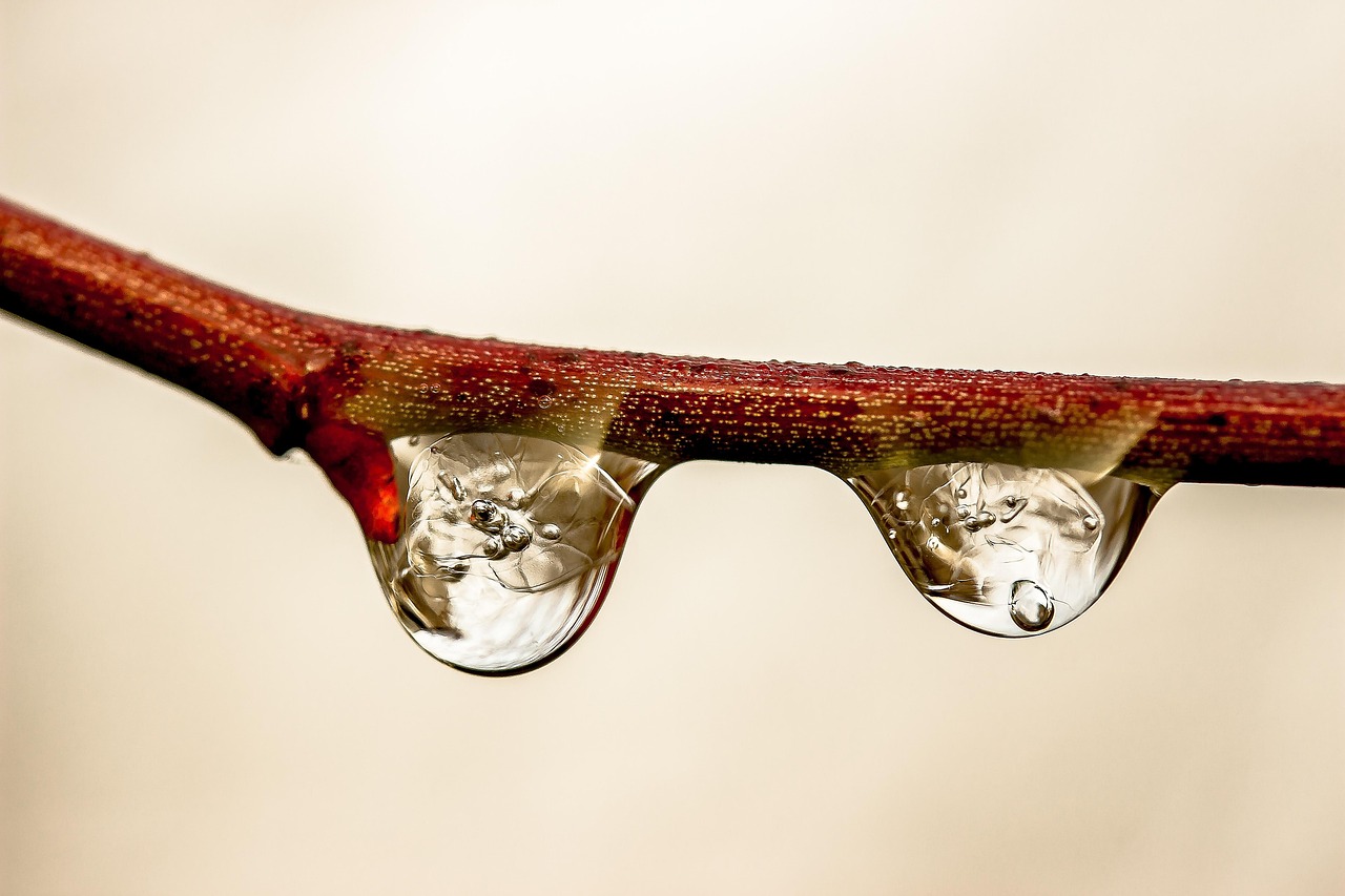 Close-up of ion-exchange resin beads held next to an opened water softener control valve on a workbench.