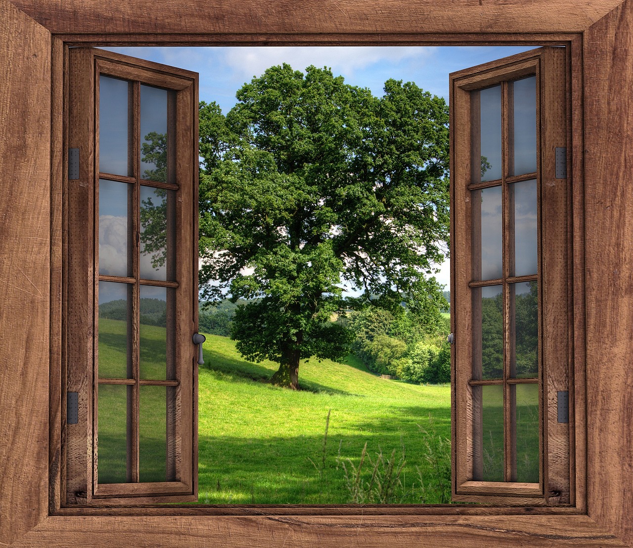 Open double-hung window with sheer curtain moving in summer breeze