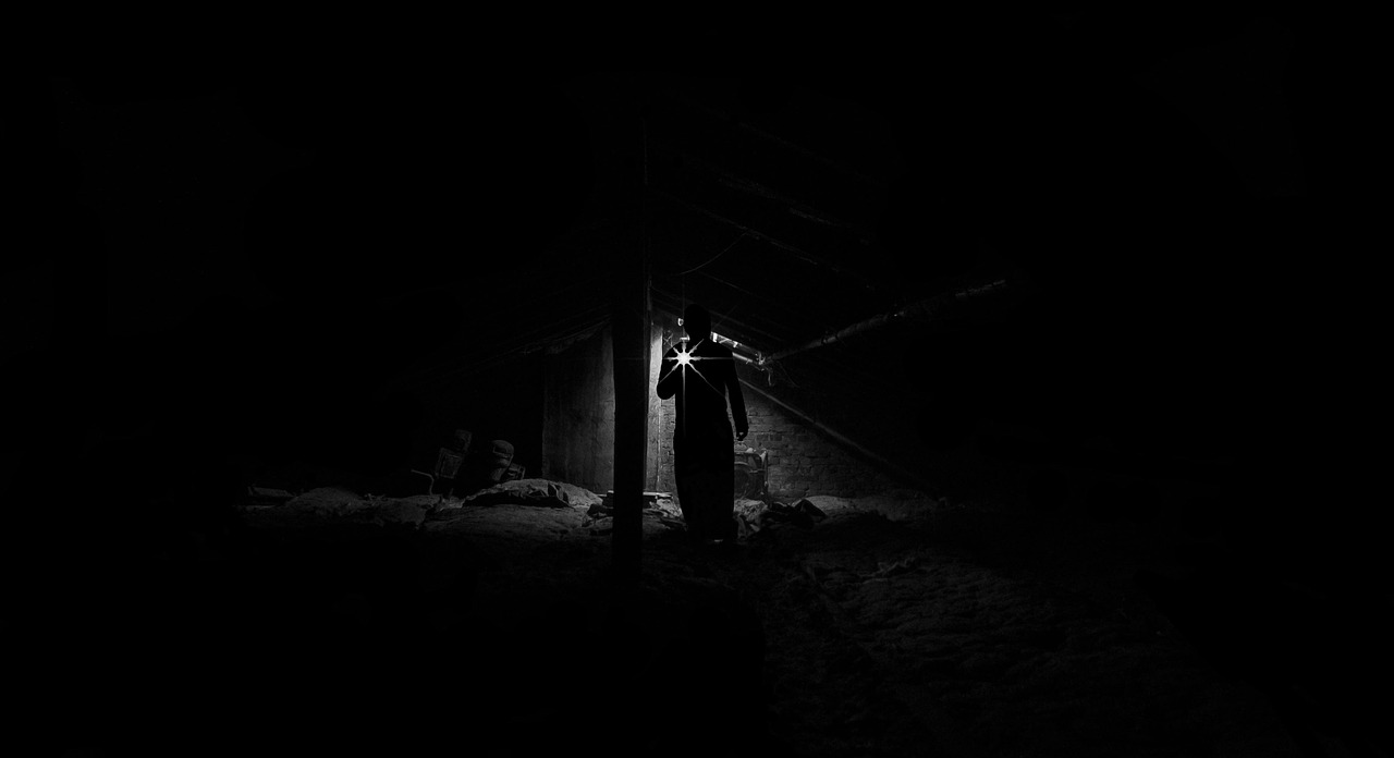 Flashlight beam illuminating dark wood rafters in an unfinished residential attic.