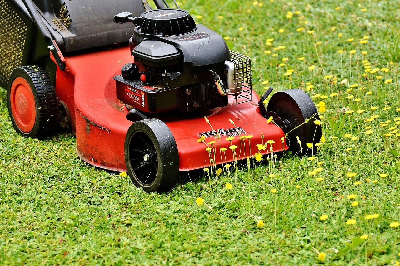Push lawn mower resting on a green lawn