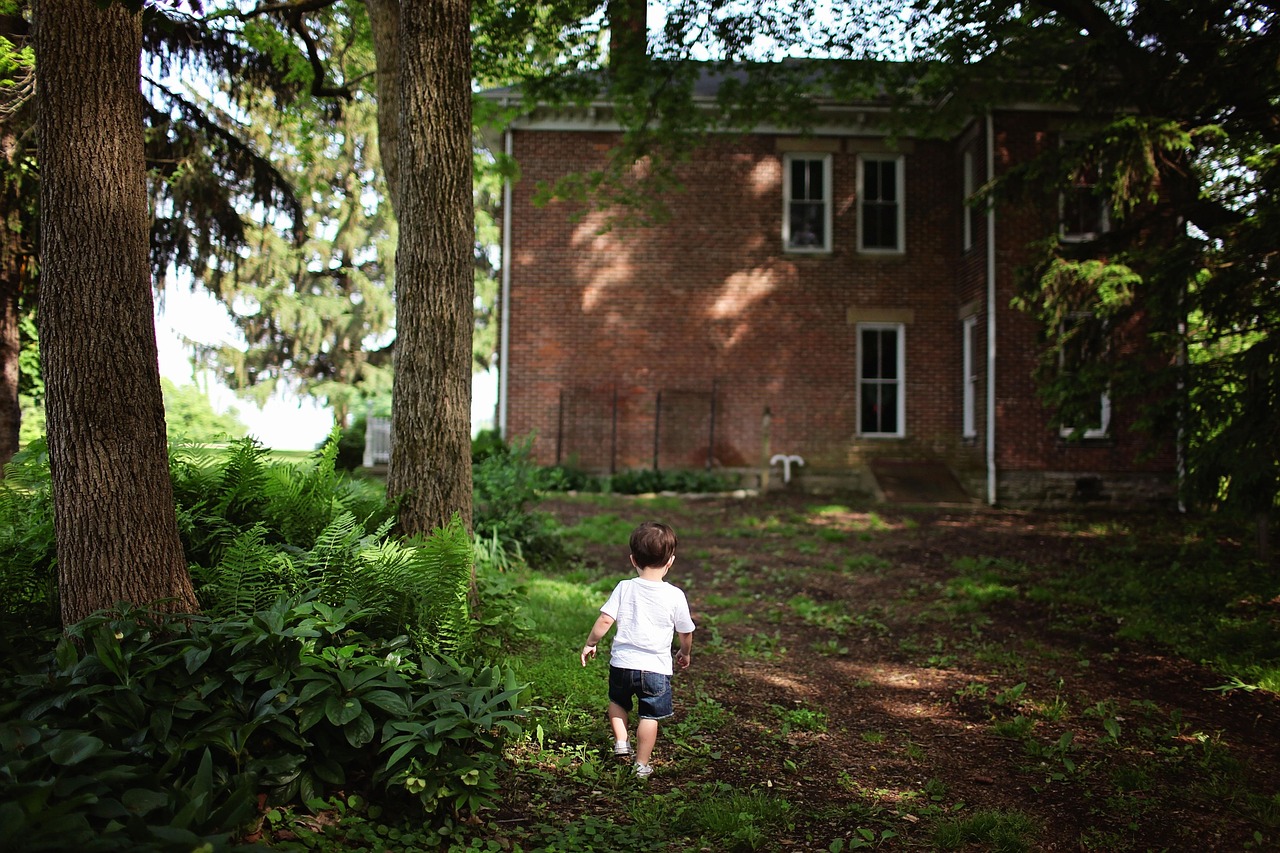 A suburban residential backyard showing property lines and landscaping.