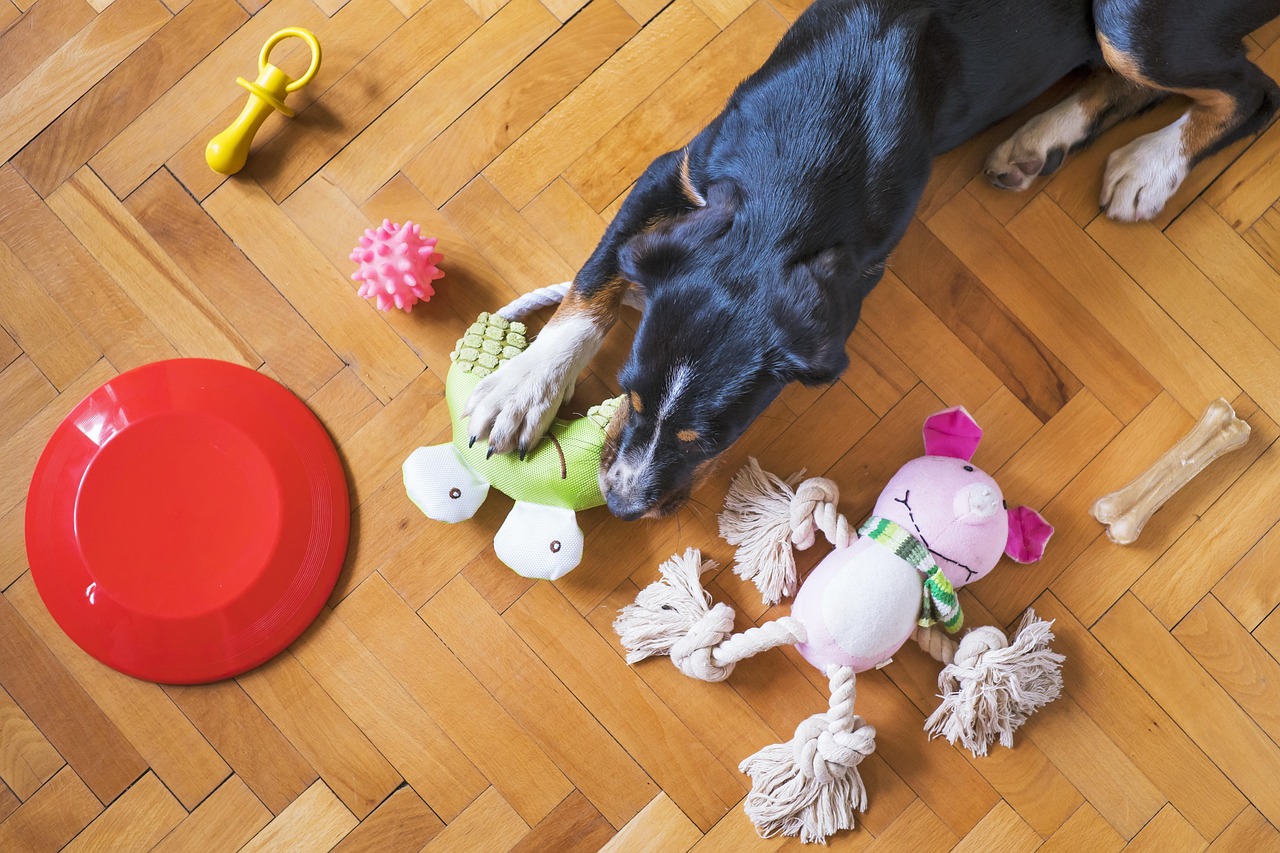 Small dog happily chewing on a veterinary-approved dental chew toy on a living room rug