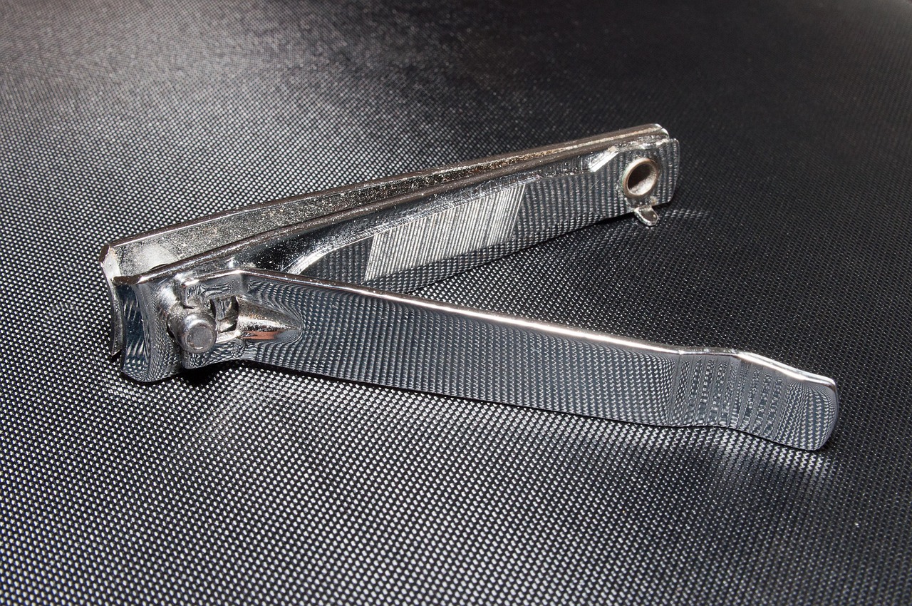 Close-up of safety-guard dog nail clippers resting near a canine paw.