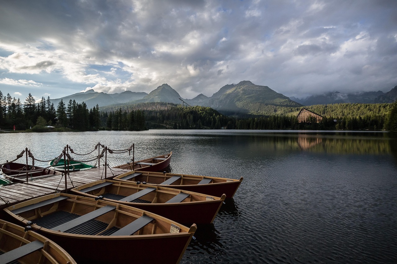 Community dock with small boats on a private lake