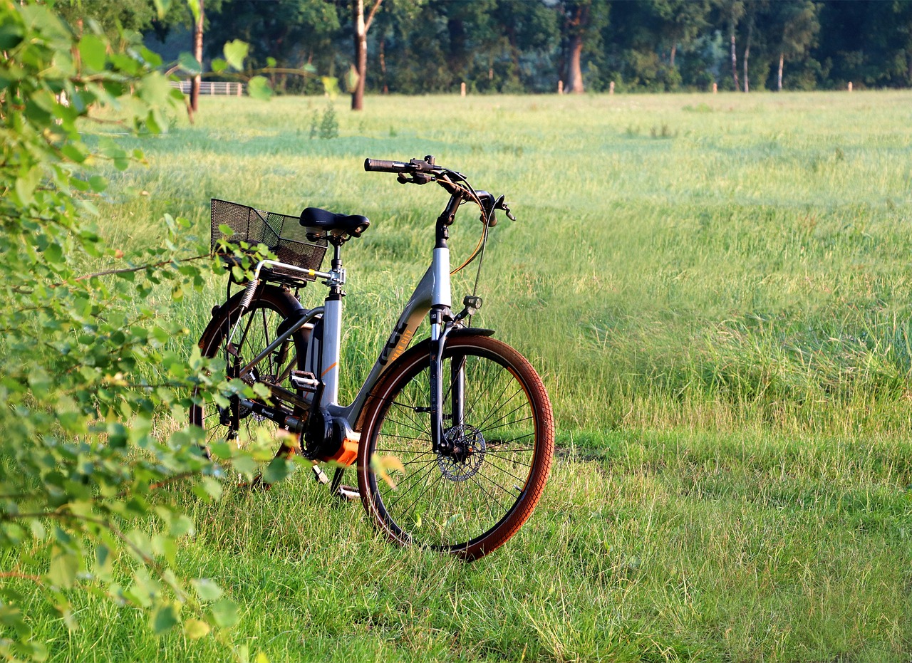 A cyclist checking the handlebar digital display and throttle response on an electric bicycle outdoors.
