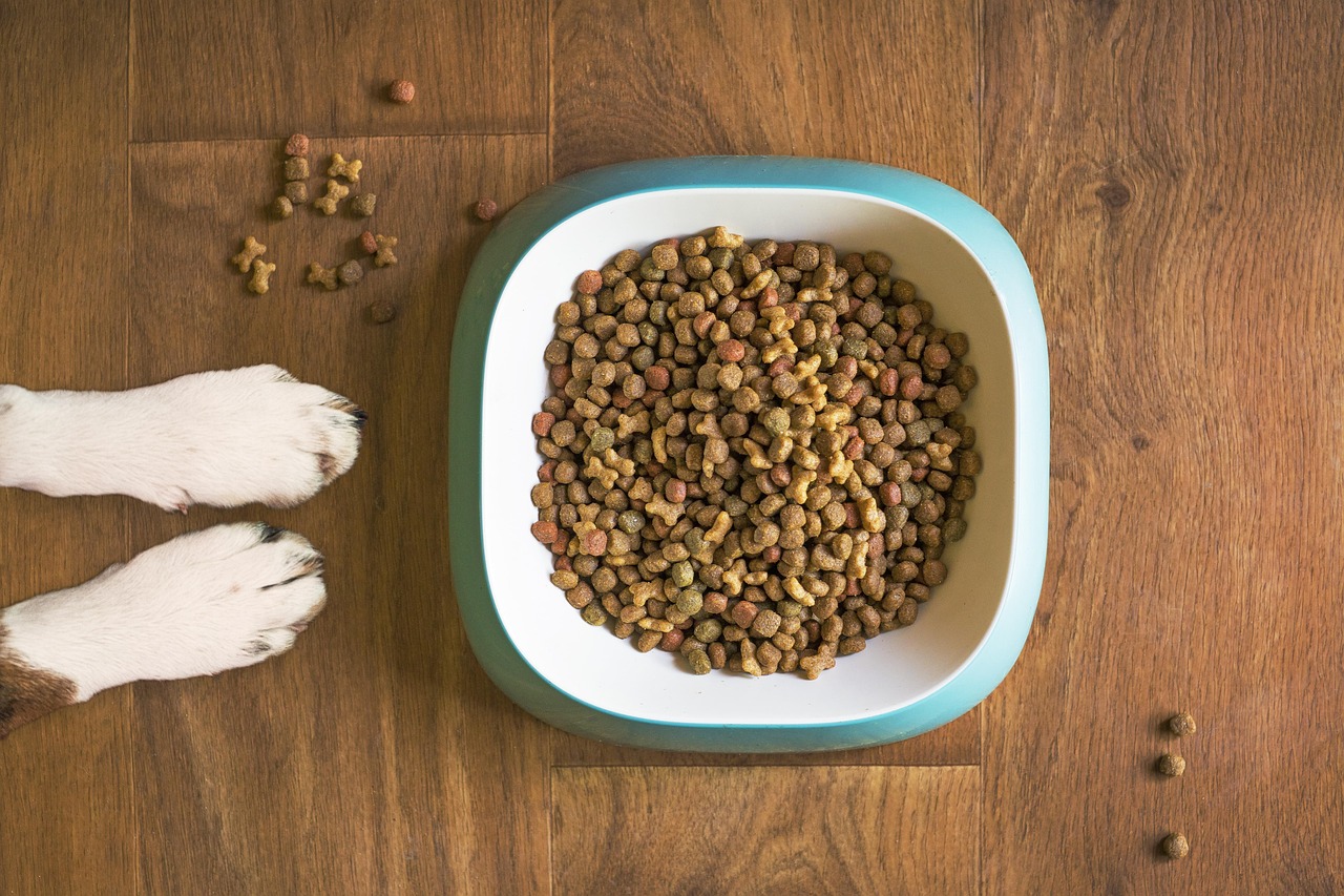 Close-up of a ceramic dog bowl containing a mix of old and new prescription kibble.