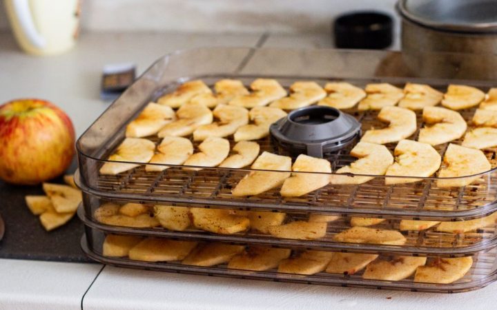 Round stackable food dehydrator loaded with apple slices on a kitchen counter.