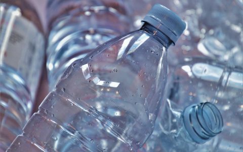 Golden Retriever wearing a clear recovery visor indoors