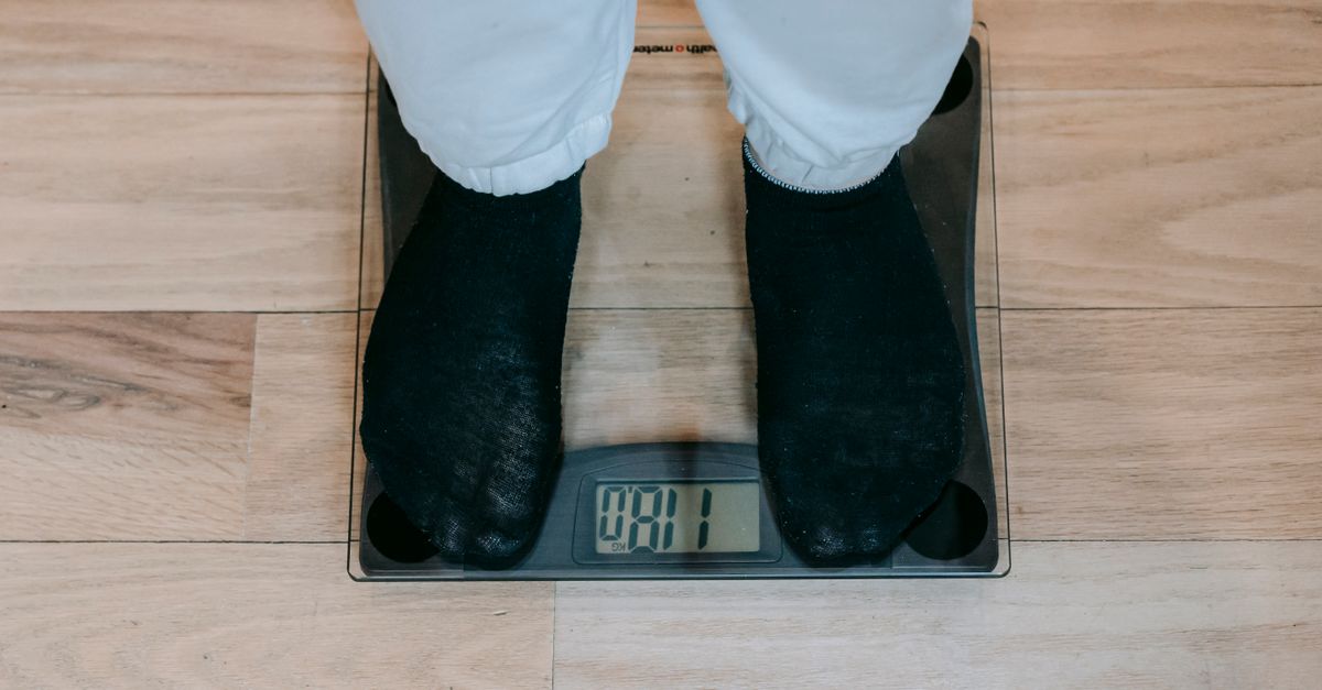 A pet owner weighing a small domestic animal on a digital scale.