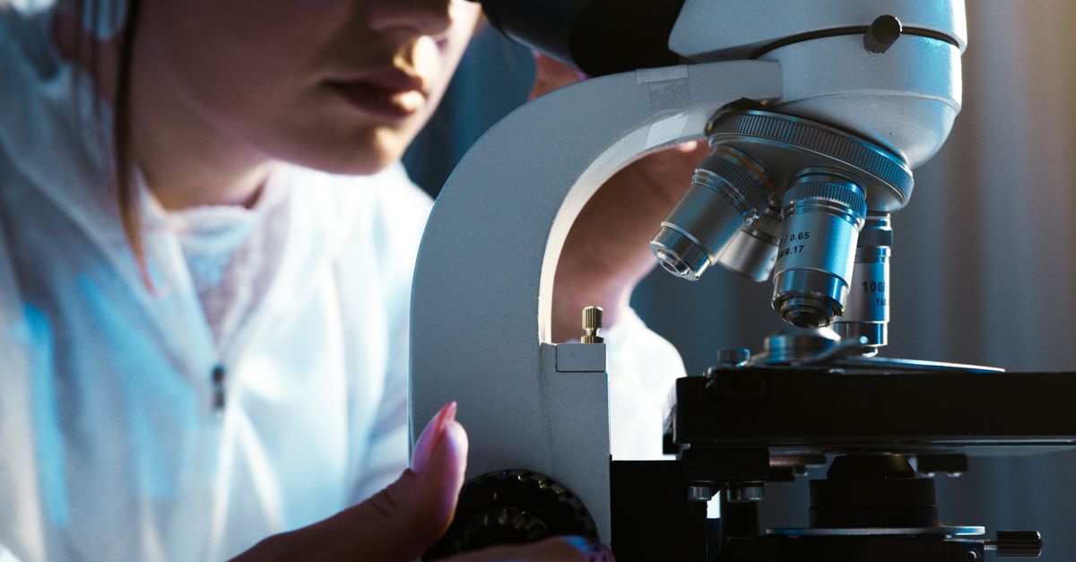 A researcher using a microfilm reader to inspect historic property documents